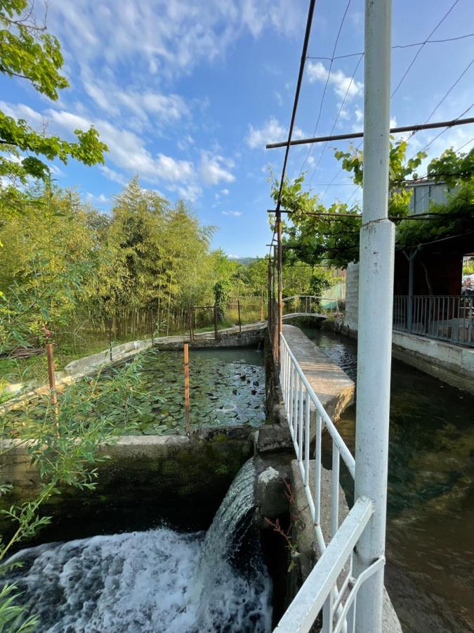 Zaali'S Wine Cellar Bed and Breakfast Vani Εξωτερικό φωτογραφία